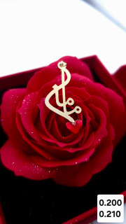 پلاک مادر ۹